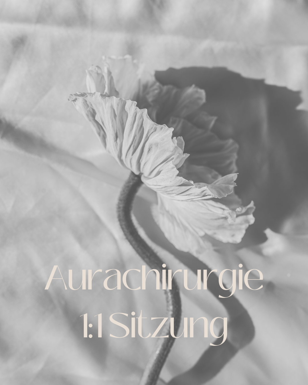 Aurachirurgie 1:1 Sitzung
