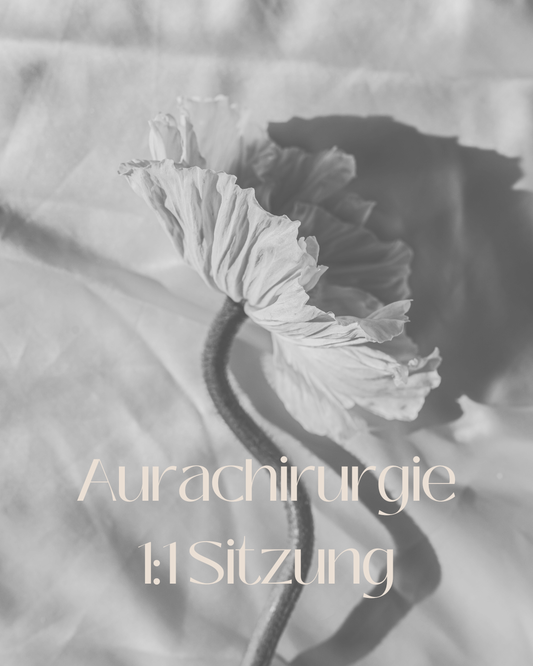 Aurachirurgie 1:1 Sitzung