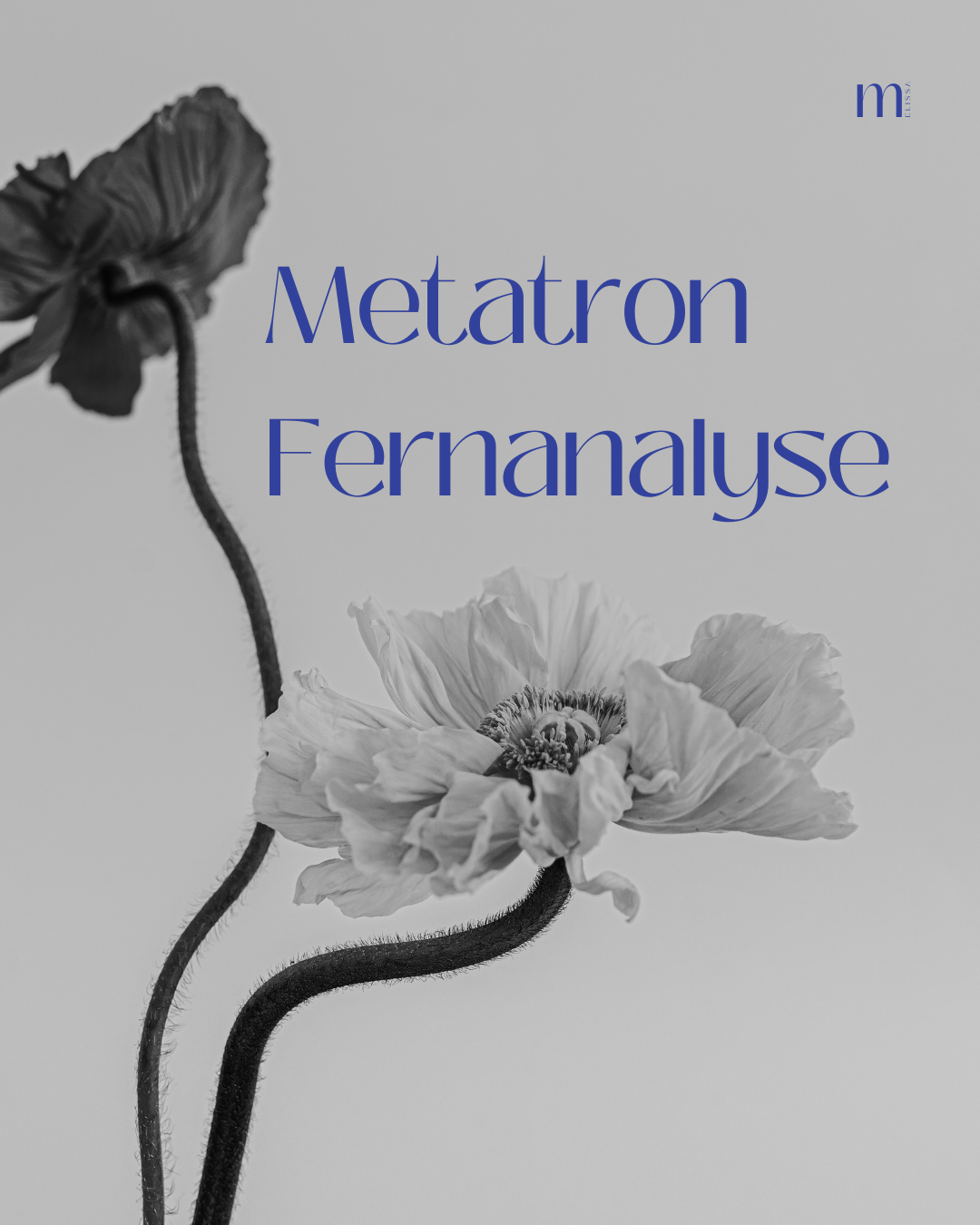 Metatron Fernanalyse